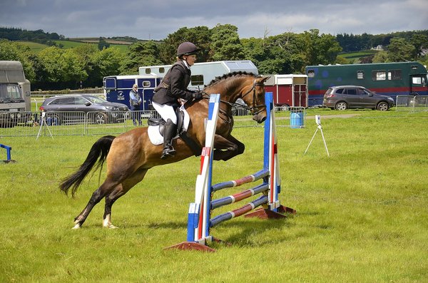 How to Develop Precision and Control in Equestrian Show Jumping?